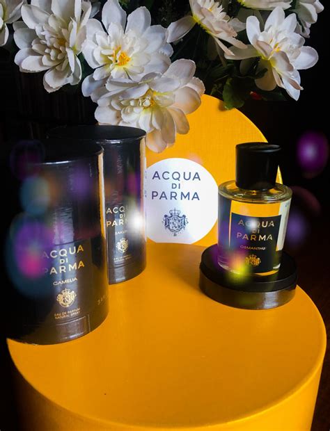 acqua di parma osmanthus fragrantica